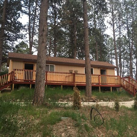 New Cabin 1 Car Rental Available Custer Eksteriør billede